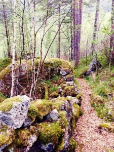 Wanderwege rund um das Gruppenhaus in Norwegen Omlid.