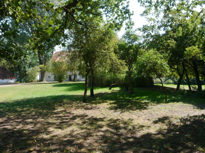 Der grüne Garten am Haus Burlage in Deutschland.