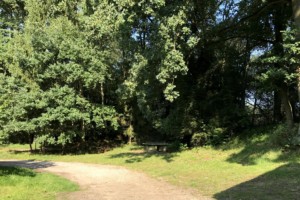 großes Außengelände mit Wald und Tischtennisplatte im Kinderfreizeitheim Lehringen