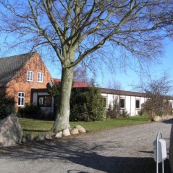 Das dänische Freizeitheim Boll´s Lejrskole auf der Insel.