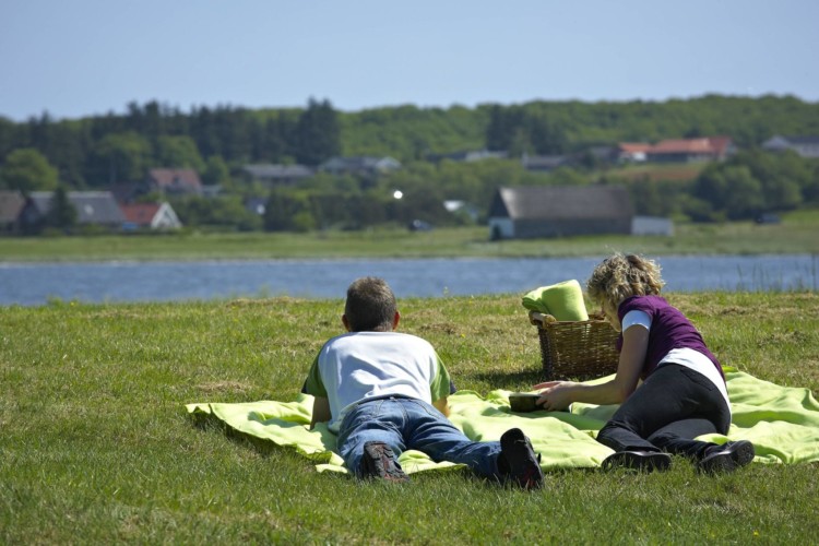 Der See mit Wiese am Gruppenhaus Virksund in Dänemark.