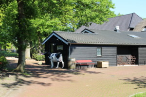 Das niederländische barrierefreie Gruppenheim ImminkOpkamer.
