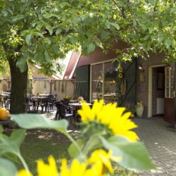 Der Innenhof des Gruppenhauses Eelink in den Niederlanden.