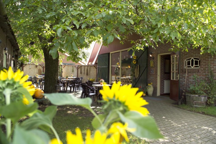 Der Innenhof des Gruppenhauses Eelink in den Niederlanden.
