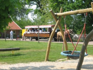 schönes Gelände mit Nestschaukel und Planwagenfahrt mit Pferden vom niederländischen handicapgerechten Freizeithaus für Rollifahrer Het Keampke Eik