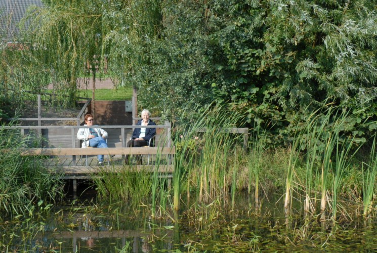 Der Teich mit kleiner Terrasse im handicapgerechten niederländischen Gruppenhaus Follenhoegh.