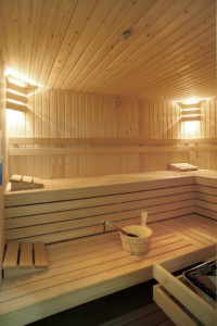 Sauna im rolligerechten Handicaphaus Het Keampke Meidoorn