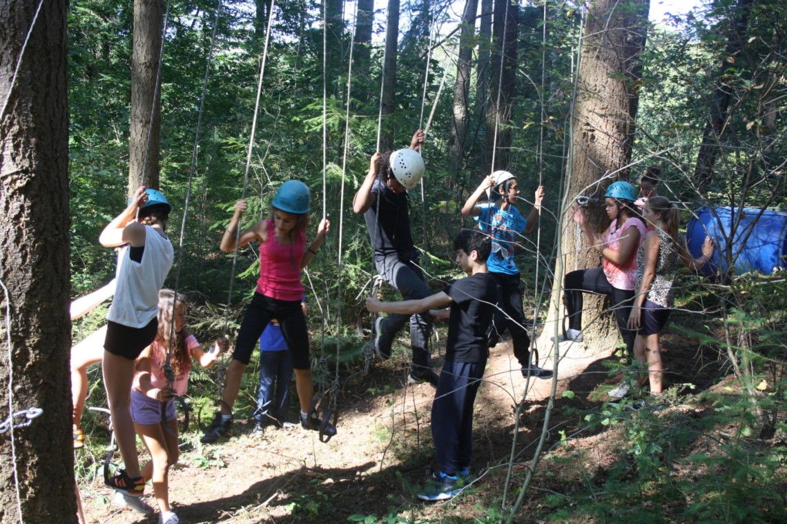 Klettern im Wald im niederländischen Gruppenhaus de Repelaerhoeve am Waldrand.