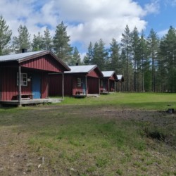 Die Hütten umgeben von Wald in Haus Ensro in Schweden