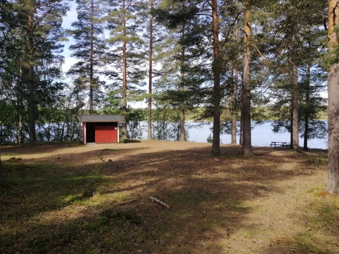 Strand mit Wald am See Ensen in Haus Ensro Lägergård
