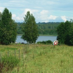 Die Umgebung des Hauses Ralingsåsgården in Schweden.
