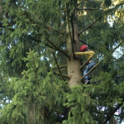 Kletterpark im Wald am deutschen Gruppenhaus Fuchsbau für Kinder und Jugendfreizeiten.