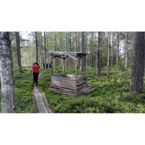 Wald am Gruppenhaus am See in Schweden