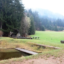 Wald am Jugendfreizeitheim Graahof in Südtirol