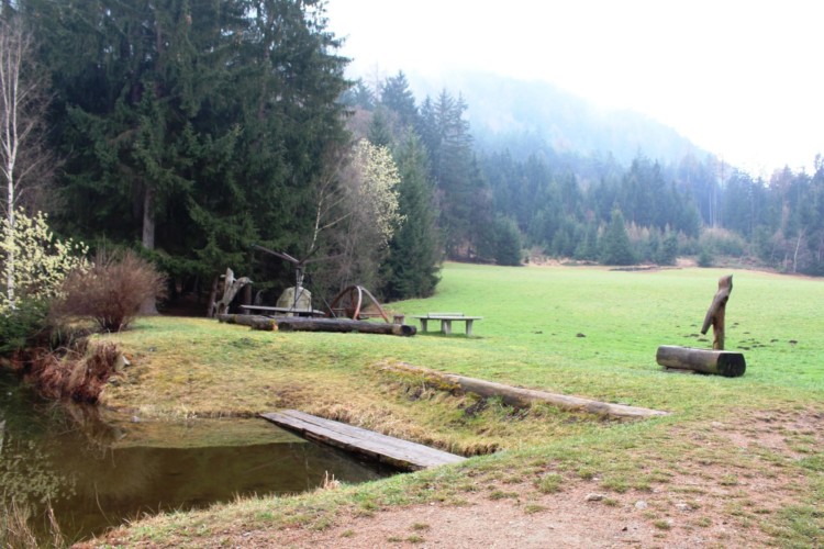 Wald am Jugendfreizeitheim Graahof in Südtirol