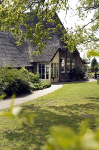 Grünflächen und Bäume rund um das Freizeithaus De Boerschop in den Niederlanden.