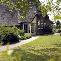 Grünflächen und Bäume rund um das Freizeithaus De Boerschop in den Niederlanden.