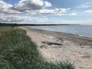 Strand am Freizeitheim für Jugendgruppen in Schweden auf Gotland