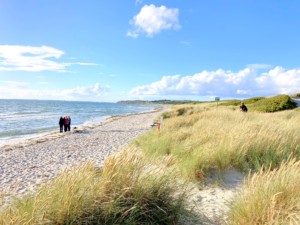 Strand in der Nähe des dänischen Gruppenhauses Skovly Langeland auf der Insel Langeland