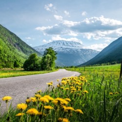 large-Summer vibes at Gaustatoppen © iamnordic - Visit Telemark