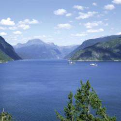 Der HArdangerfjord in der Nähe vom norwegischen Freizeitheim Wallemtunet.