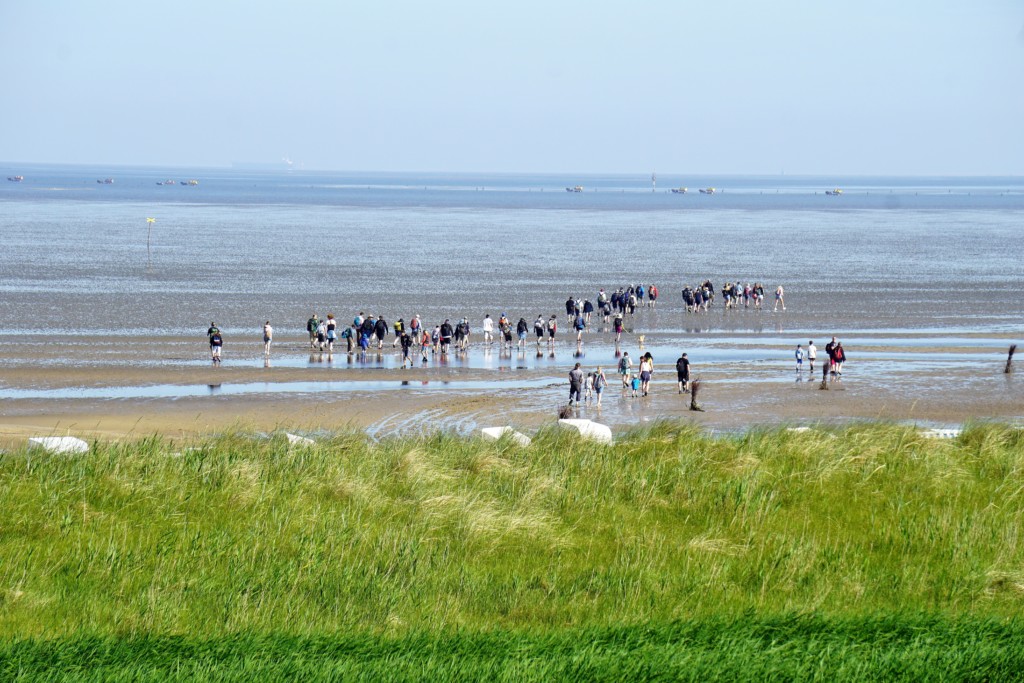 Tolle Gruppenhäuser für Reisen an die Nordsee bei Reiseservice Henser!